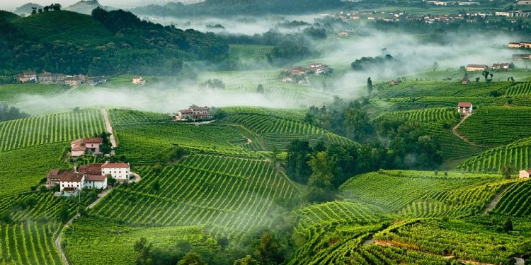 Al via il progetto di valorizzazione dell’Alta Marca