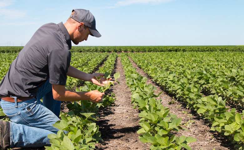 Da Coldiretti nasce il primo B2B agricolo del trevigiano