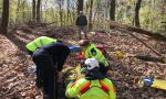 Grave boscaiolo colpito da un tronco nella XI del Montello