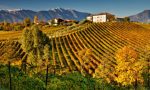 Primavera del Prosecco Superiore, tocca a Ogliano