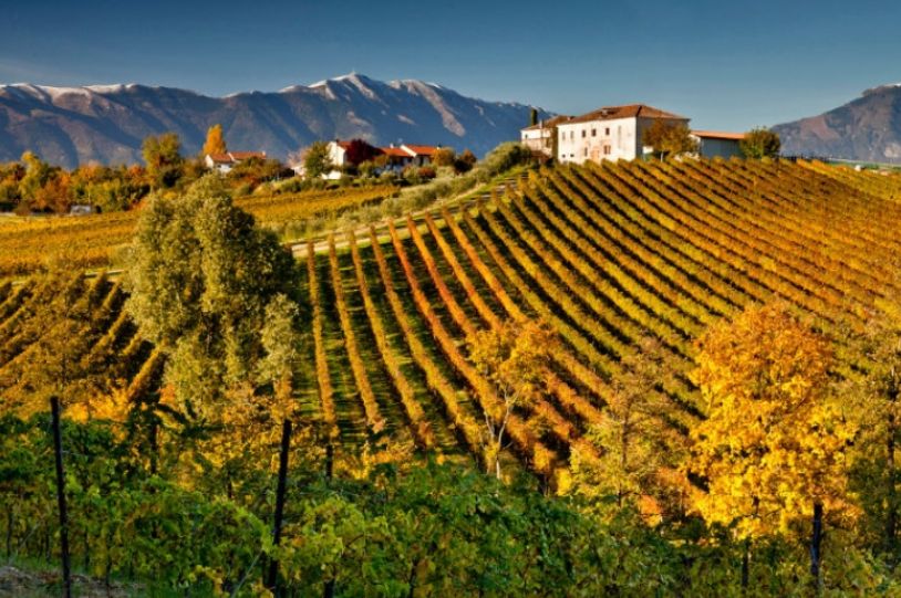 Primavera del Prosecco Superiore, tocca a Ogliano
