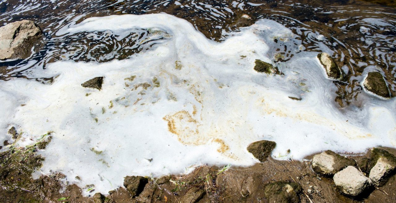 Pfas nelle acque del Po il Veneto avverte Lombardia, Piemonte ed Emilia Romagna