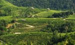 Prosegue a Miane e San Pietro di Feleto la Primavera del Prosecco Superiore