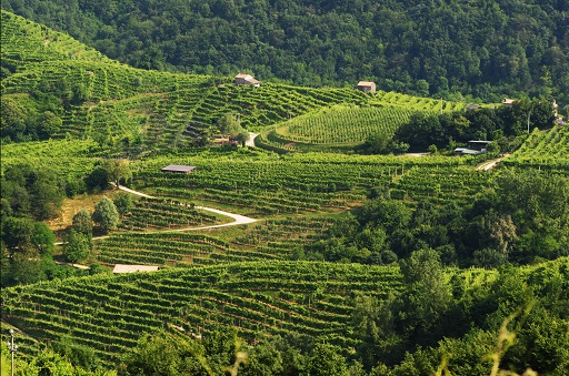 Prosegue a Miane e San Pietro di Feleto la Primavera del Prosecco Superiore