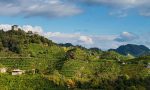 Il maltempo non ferma la primavera del Prosecco Superiore