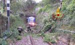 Treno Treviso-Belluno bloccato da un albero