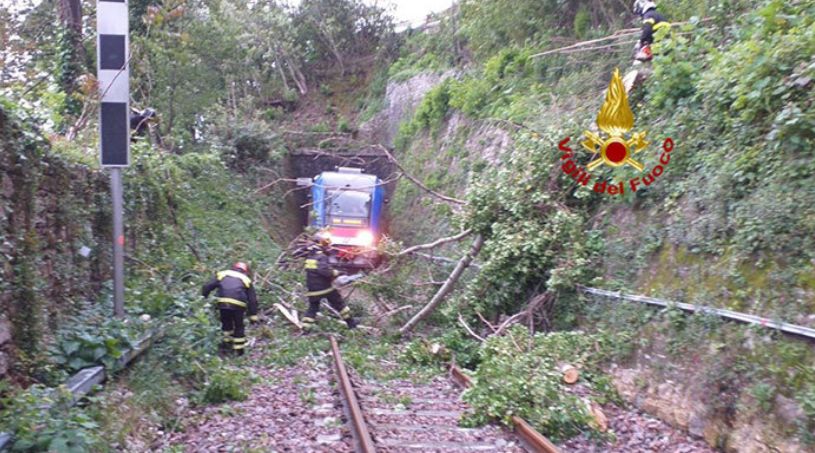 Treno Treviso-Belluno bloccato da un albero
