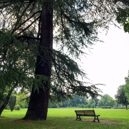 “RiDatti una Mossa” da giugno  a Montebelluna