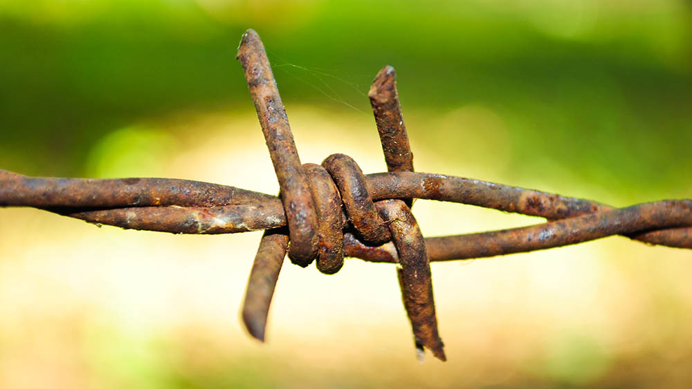 Bambina non vaccinata: contrae il tetano