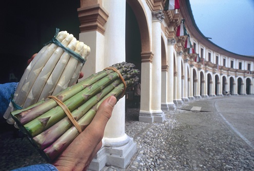 Festa nazionale delle Pro Loco nella provincia di Treviso