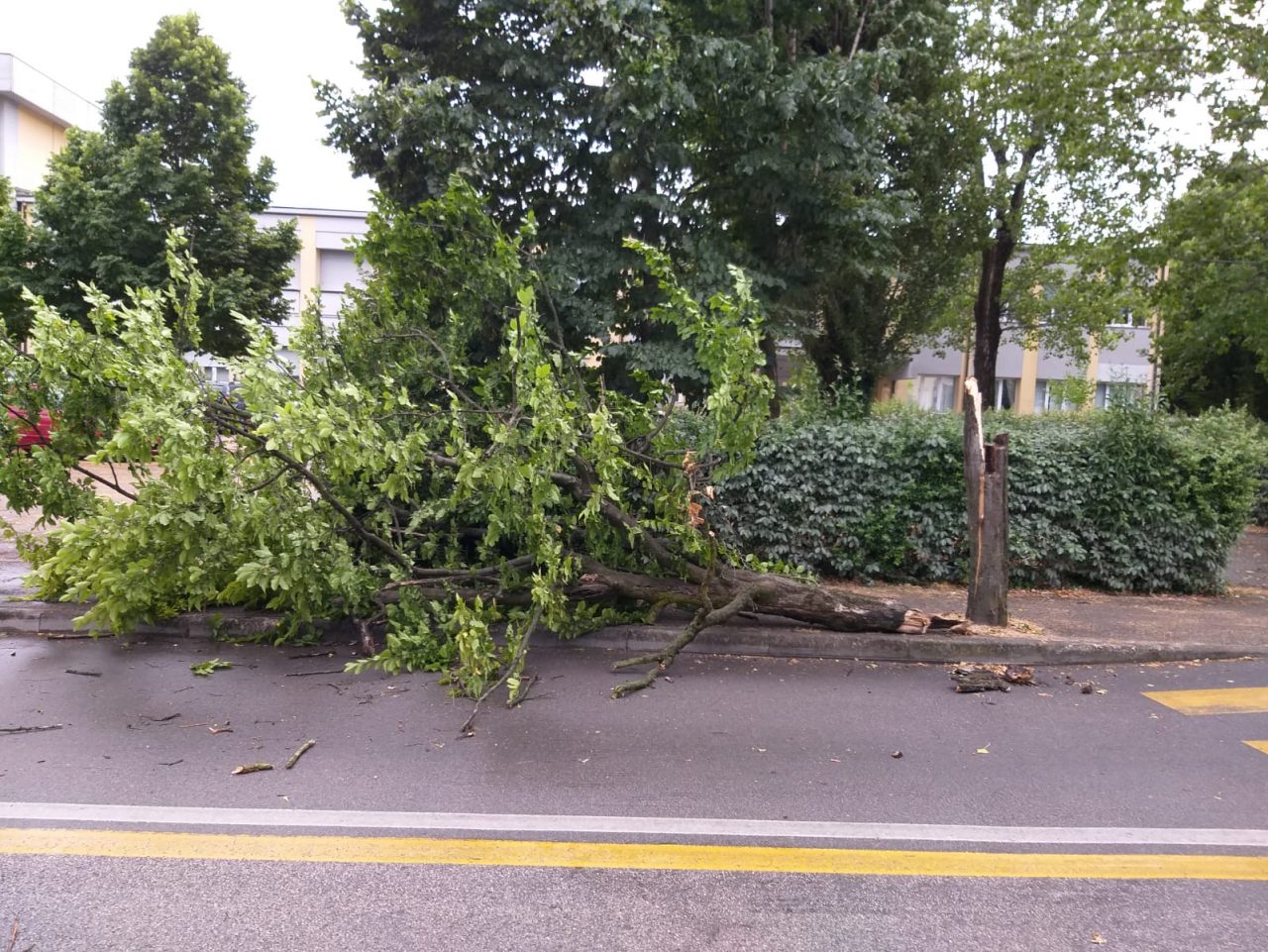 Ancora pioggia e grandine sulla Marca