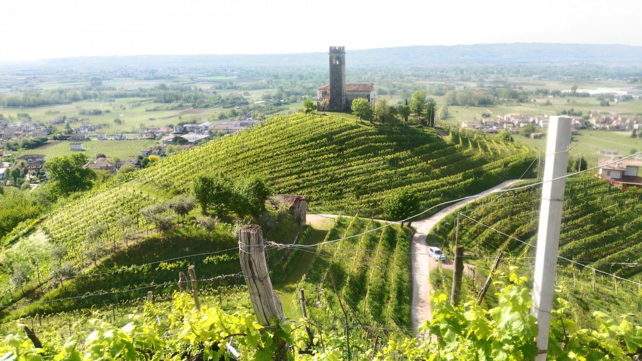 Nella zona del Prosecco ci sono meno tumori