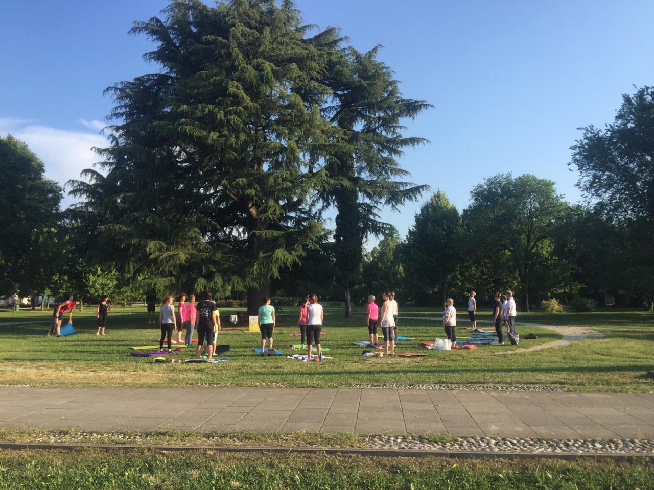 Montebelluna, Parco Manin una palestra a cielo aperto