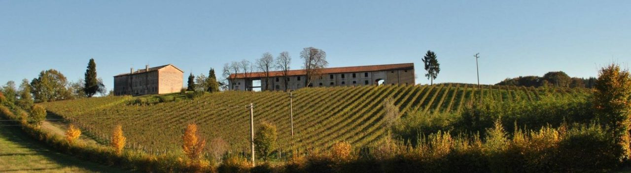 Avviso d’asta pubblica per la vendita di uva da vino