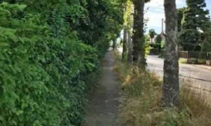 Ciclopedonale di Busta ricoperta d'erbacce