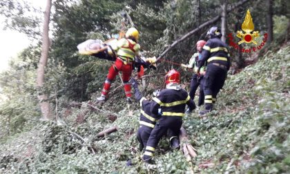 Boscaiolo ferito a Enego: salvato dai vigili del fuoco