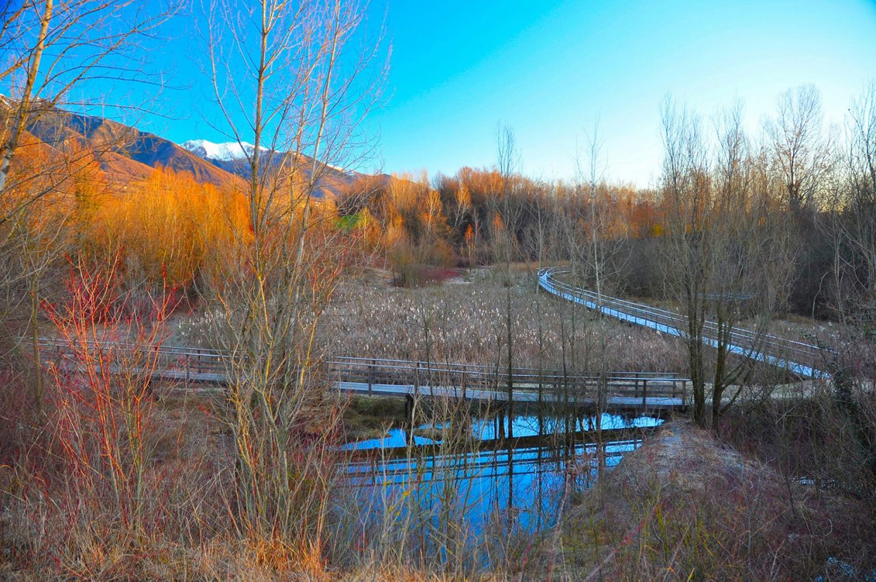 San Zenone si aggiudica l’Oasi di San Daniele