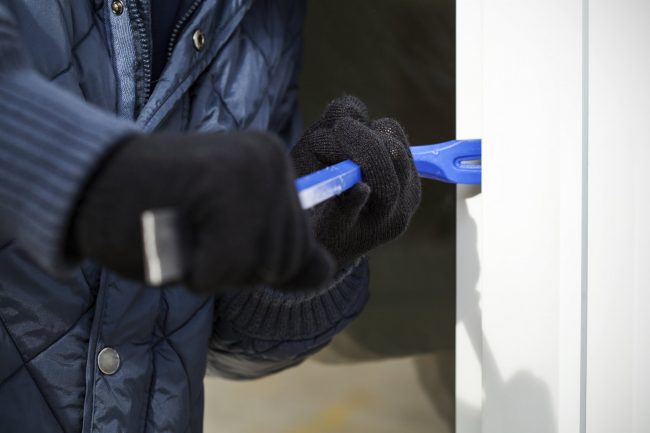 Ladri entrano in casa: il cane abbaia e mette in allarme i vicini