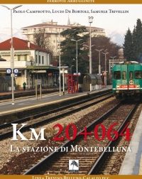 Il treno a Montebelluna