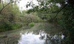 Un maniaco ha aggredito una donna nel parco dello Storga