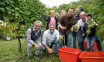 Vendemmia solidale, la pioggia non ferma la festa