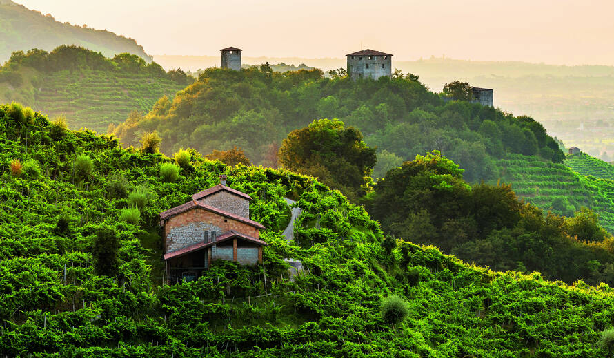 Prosecco addio: chiamateci solo Valdobbiadene Conegliano Docg