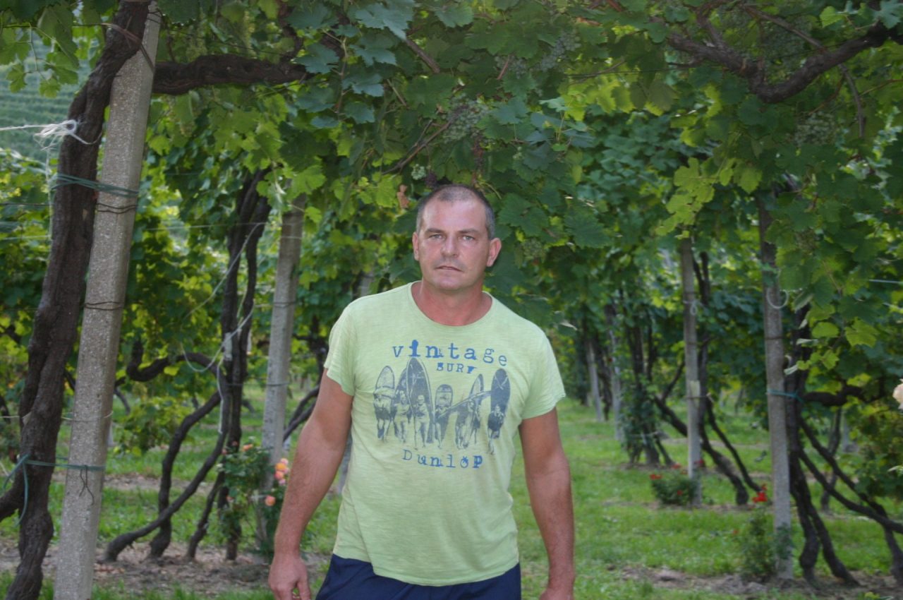 El Palazon, anche il conte Pola beveva Cartizze | Famiglie del Valdobbiadene