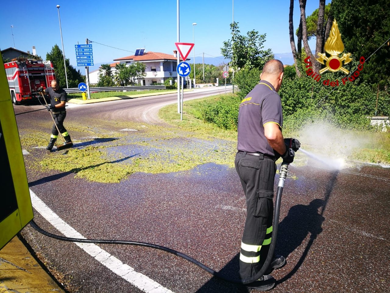 Iniziata la vendemmia, qualcuno l’uva la perde per strada