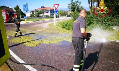 Iniziata la vendemmia, qualcuno l'uva la perde per strada