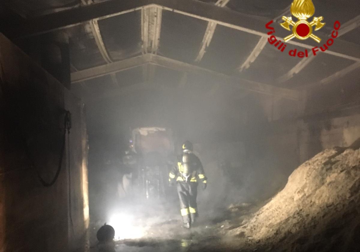 Nella notte va a fuoco una stalla, muoiono due bovini