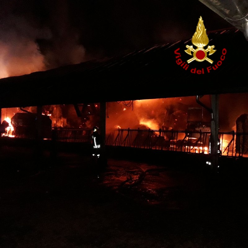 Vasto incendio a Valdobbiadene in un’azienda agricola
