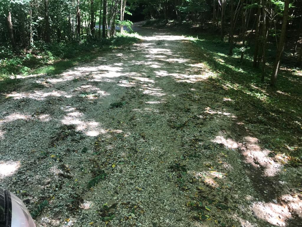 IMG-20191003-WA0050 (1)