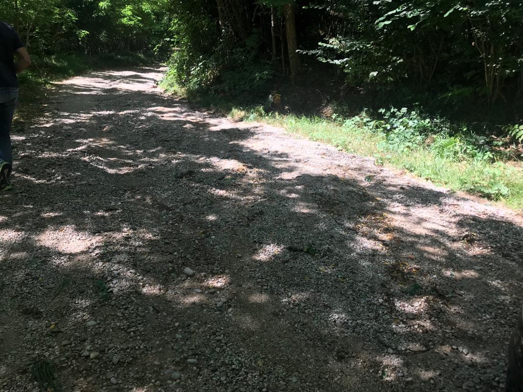 IMG-20191003-WA0053