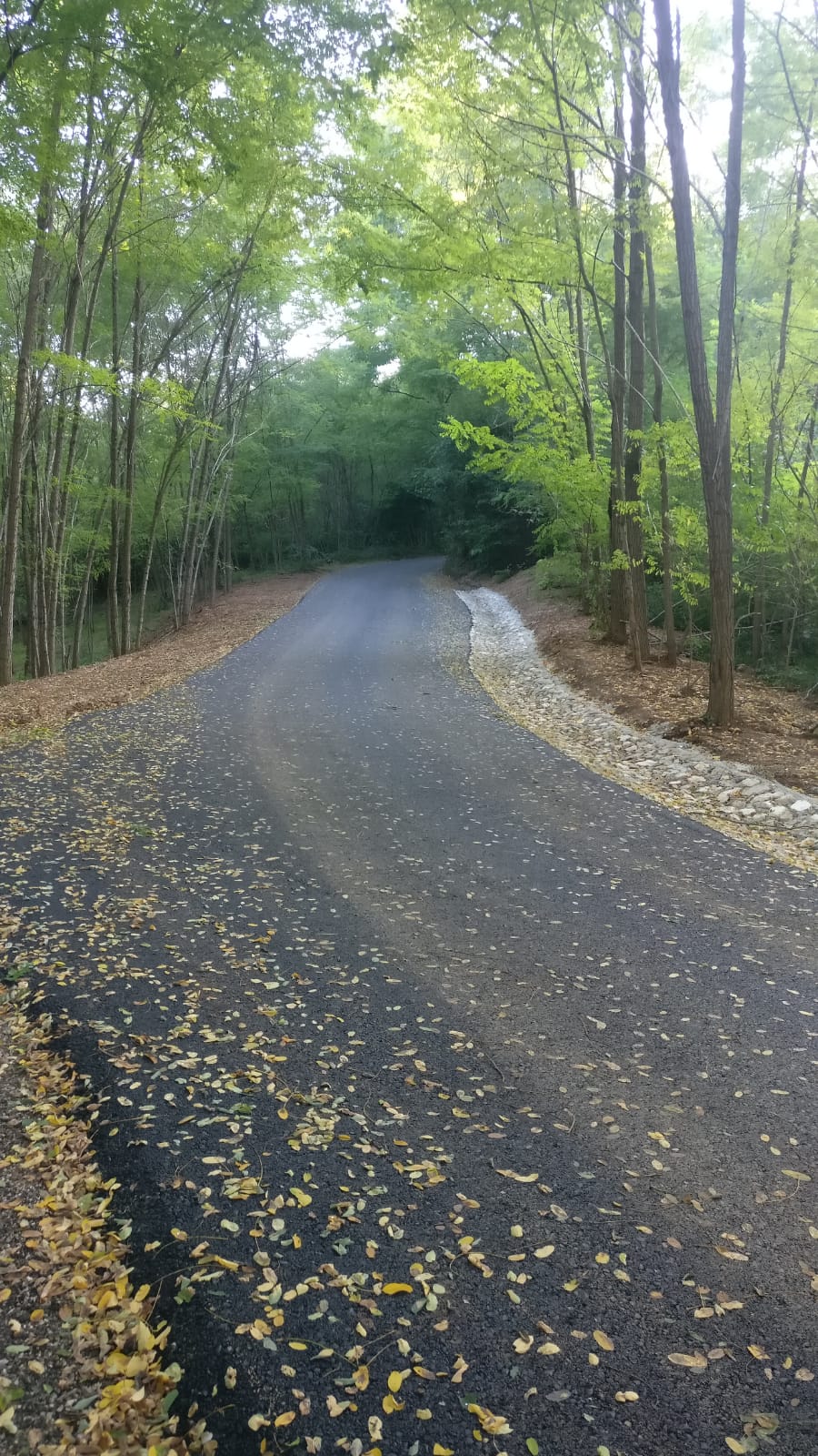 IMG-20191003-WA0056 (1)