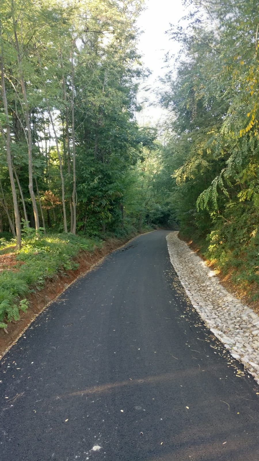 IMG-20191003-WA0063 (1)