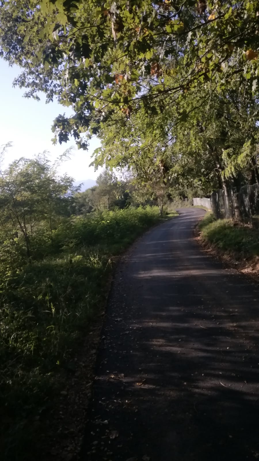 IMG-20191003-WA0066 (1)