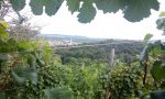 Le colline del Prosecco di Conegliano Valdobbiadene celebrano il patrimonio Unesco con il territorio