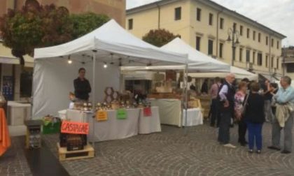 A Montebelluna continuano le manifestazioni autunnali con Il Mosaico