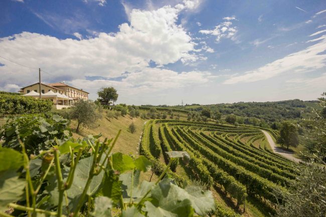Astoria vince il Premio Ecofriendly 2020