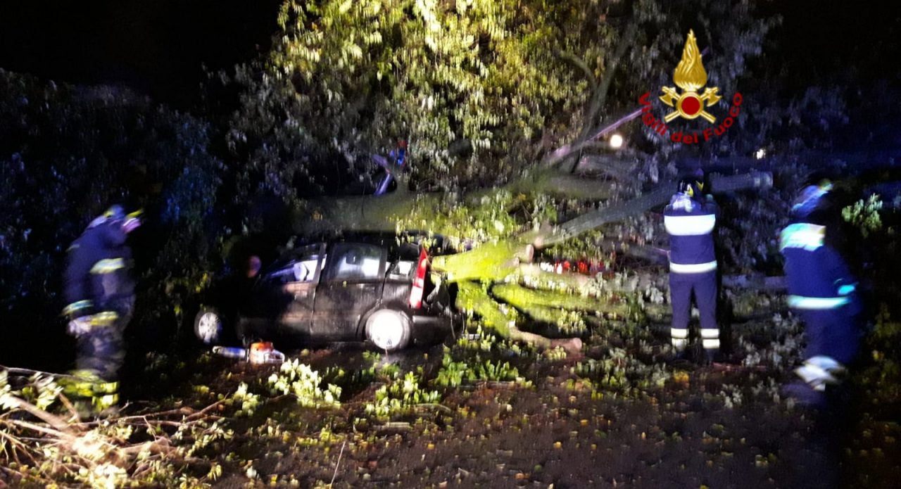 Maltempo: a Castelfranco un albero schiaccia tre auto