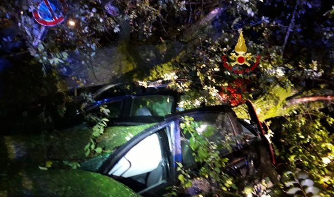 Maltempo: a Castelfranco un albero schiaccia tre auto