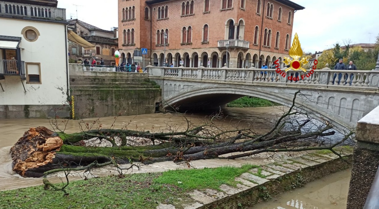Cade l’ippocastano secolare simbolo di Pieve di Soligo