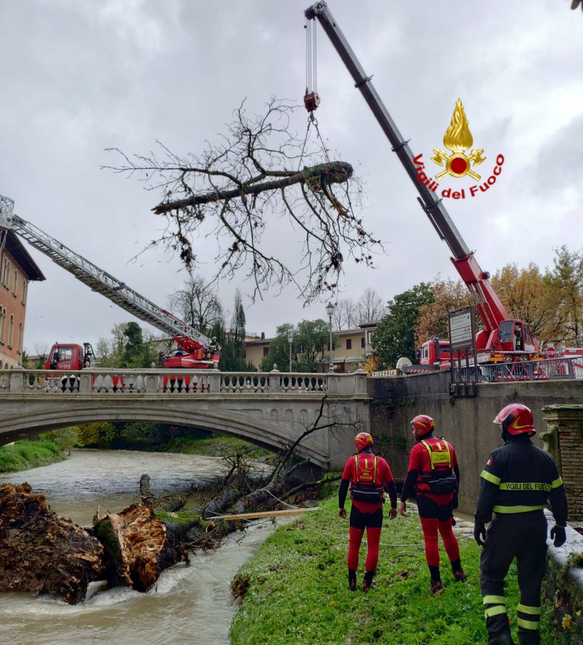 E’ stato rimosso l’ippocastano di Soligo