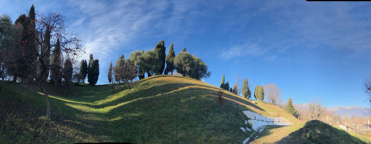 Boschi a Natale, a Treviso lo spettacolo della natura