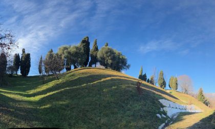 Boschi a Natale, a Treviso lo spettacolo della natura