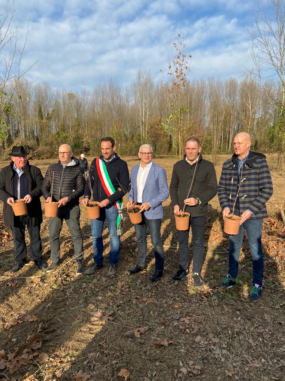 Piantumazione