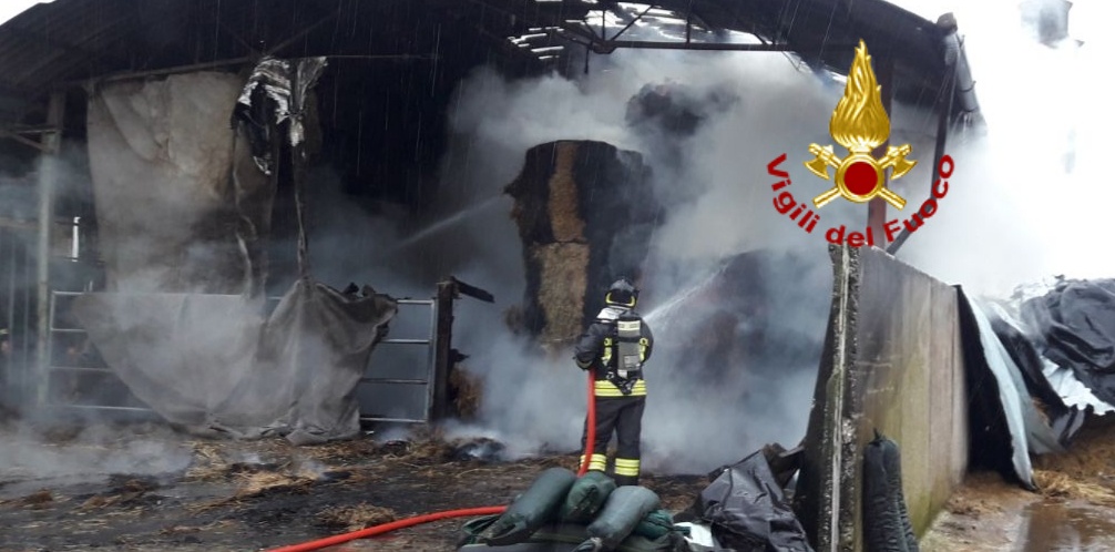 Incendio in un fienile, salvi i 50 capi di bestiame