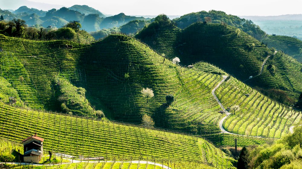 Colline del Prosecco promosse dall Accademia dei Georgofili