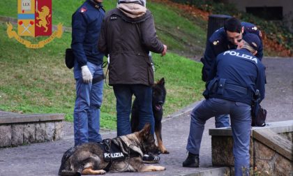 Spaccio Giardini Sant'Andrea Treviso, tre nigeriani controllati: una denuncia