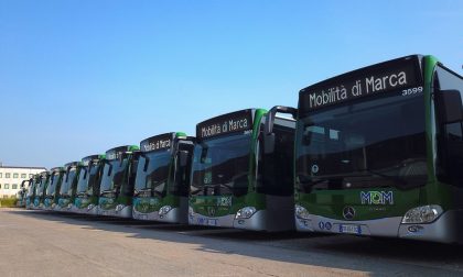 Mom Treviso: 28 nuovi bus nel 2020